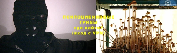 не бодяженный Каменка