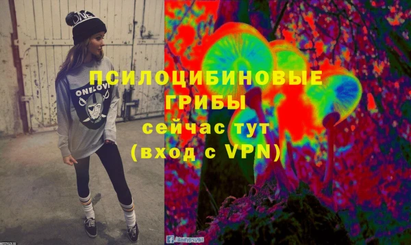 хмурый Касимов