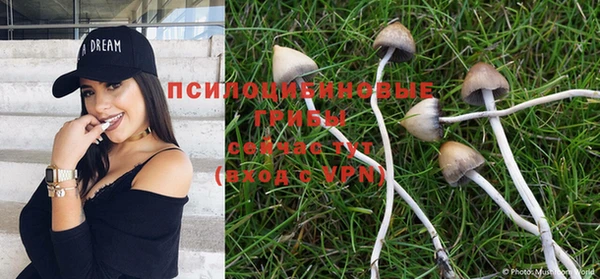каннабис Каменногорск