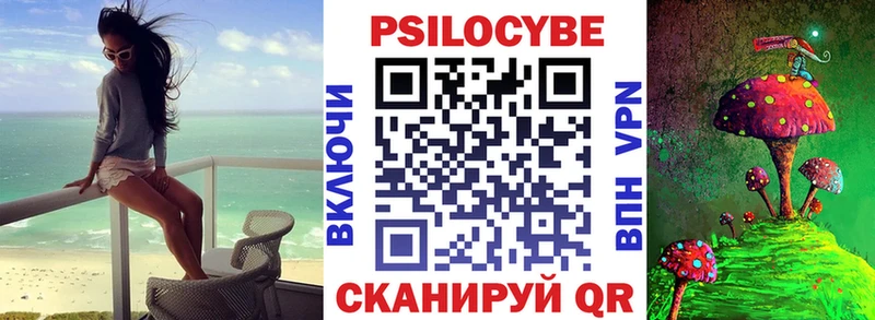 Купить где  Старый Оскол  Псилоцибиновые грибы Cubensis 